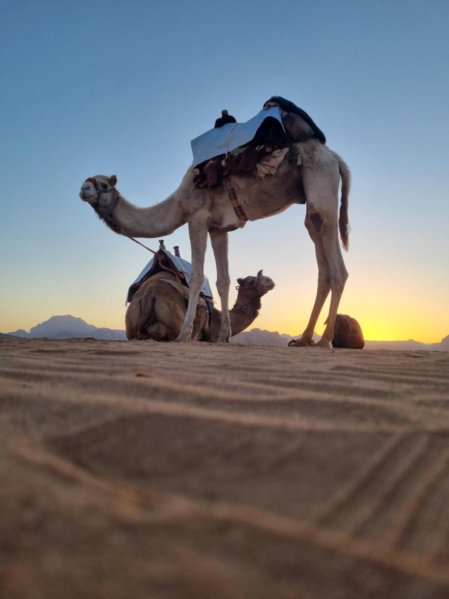 Hotel Kylie Magic Camp Wadi Rum Exterior foto